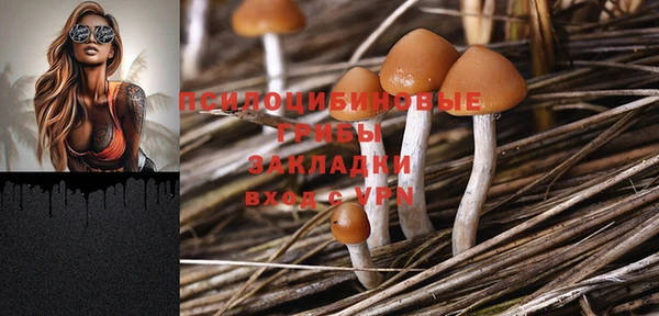 ГАЛЛЮЦИНОГЕННЫЕ ГРИБЫ Алексеевка
