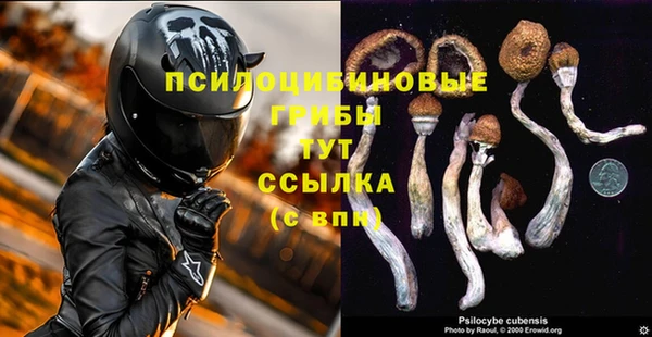 ГАЛЛЮЦИНОГЕННЫЕ ГРИБЫ Алексеевка