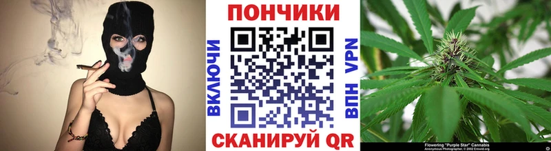 магазин  наркотиков  Нижние Серги  Марихуана сатива 